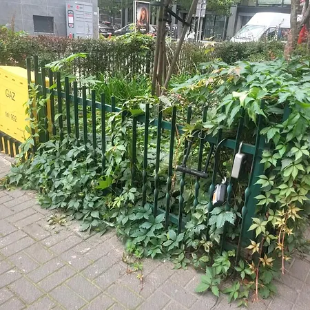 Apartman Centrum Chmielna *